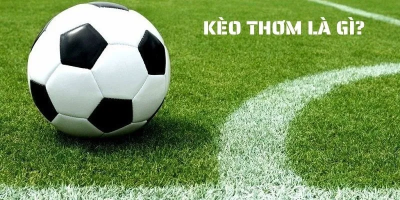 Giới thiệu về kèo thơm VUA88