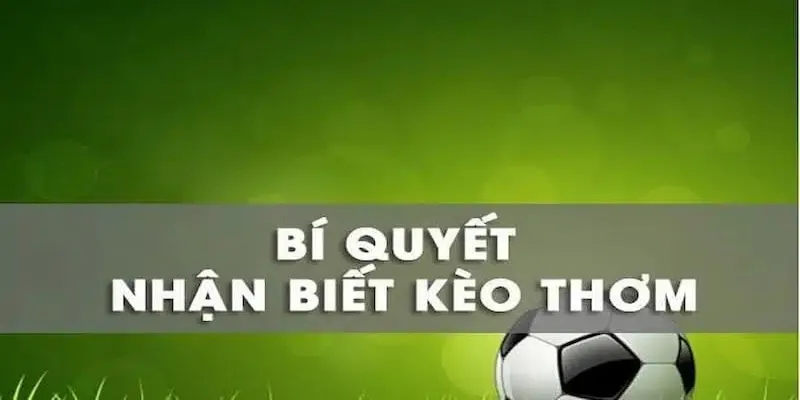 Tân binh tại VUA88 nên ghi nhớ các thông tin trên để lựa chọn được kèo thơm