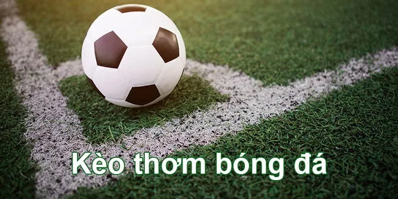 Kèo Thơm VUA88 - Hướng Dẫn Chi Tiết Cách Nhận Biết Kèo Thơm
