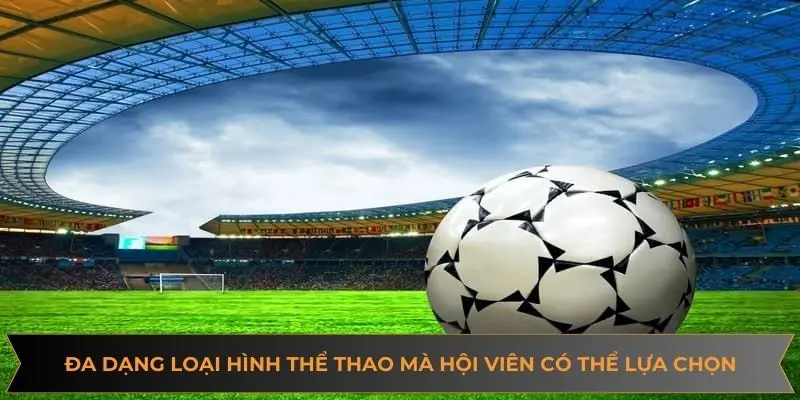 Đa dạng loại hình thể thao đặc sắc mà hội viên có thể lựa chọn Đa dạng loại hình thể thao đặc sắc mà hội viên có thể lựa chọn