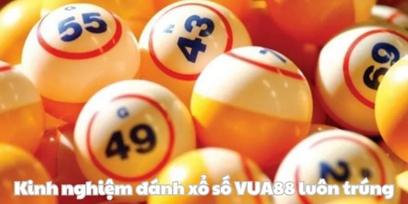 Bí quyết chọn số luôn đúng tại VUA88